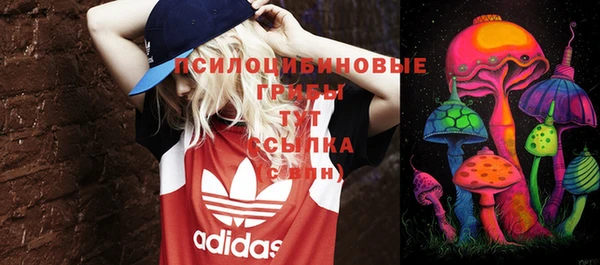 ПСИЛОЦИБИНОВЫЕ ГРИБЫ Абдулино